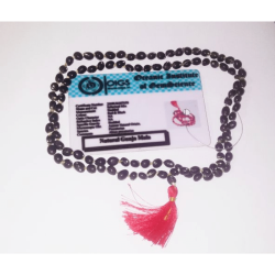 Black Gunja Mala & Genuine Kala Gunja Mala & Certified