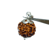 Lab- Certified 6 Mukhi Rudraksha bead in Silver Pendant