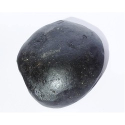 Kuber Shaligram 151 Gram Very Rare Shaligram