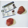 Natural Red Jasper Stone 2 piece & Lab- Tested