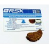 Certified 1 Mukhi Rudraksha One Faced Rudraksha 100% Genuine