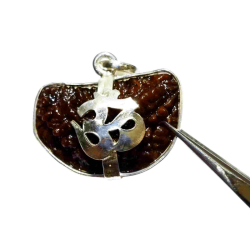 1 Mukhi Rudraksha Beads in...