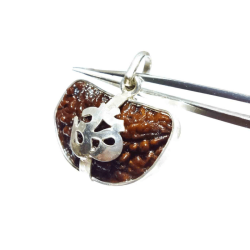 1 Mukhi Rudraksha Beads in Silver Pendant & Lab- Certified