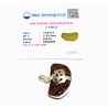 1 Mukhi Rudraksha Beads in Silver Pendant & Lab- Certified