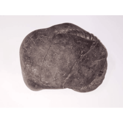 Very Rare Laxmi Narayan Shaligram 100% Genuine – 941 Gram (Lakshmi narayan)