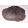 Very Rare Laxmi Narayan Shaligram 100% Genuine – 1.108 kg Gram (Lakshmi narayan)