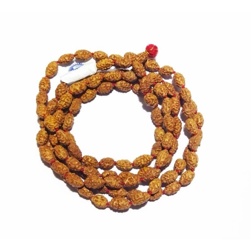 2 Mukhi Rudraksha Mala Genuine & Certified