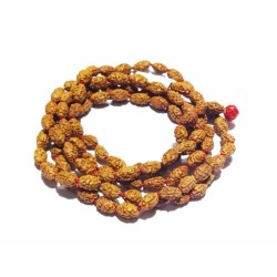 2 Mukhi Rudraksha Mala Genuine & Certified