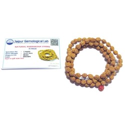 Certified 4 Mukhi Rudraksha Mala Affordable & Original