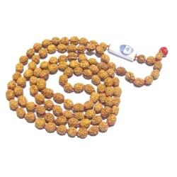 Certified 4 Mukhi Rudraksha Mala Affordable & Original