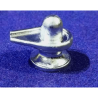 Siddh Parad Shivling (Rasalingam) - Original 54 gram