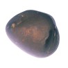 Very Rare Laxmi Narayan Shaligram 100% Genuine - 101 Gram (Lakshmi narayan)