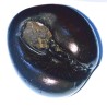 Natural Laxmi Dhanvantari Shaligram - 104 Gram (Lakshmi narayan)