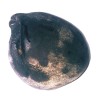 Ganesh Shaligram 192 Gram Very rare 100% Genuine