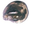 Ganesh Shaligram 192 Gram Very rare 100% Genuine