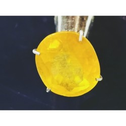 Yellow Sapphire (Pukhraj) - 7.25 Carat