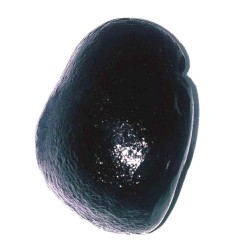 Parshurama Shaligram 114 Gram Very rare 100% Genuine