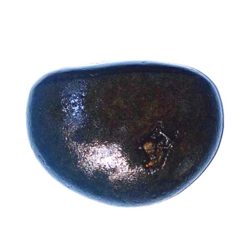 Natural Vamana Shaligram & Genuine 83 Gram