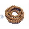 8 Mukhi Rudraksha Mala Affordable & Certified Mala