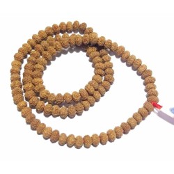 8 Mukhi Rudraksha Mala...