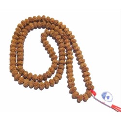 8 Mukhi Rudraksha Mala Affordable & Certified Mala