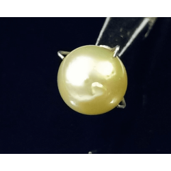 Natural Yellow Pearl (Moti) Stone - 6.25 Carat