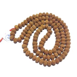 7 Mukhi Rudraksha Mala Affordable & Certified Mala Big Beads 8 mm