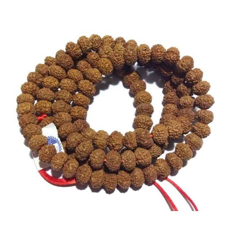 7 Mukhi Rudraksha Mala Affordable & Certified Mala Big Beads 8 mm