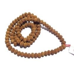 7 Mukhi Rudraksha Mala Affordable & Certified Mala Big Beads 8 mm