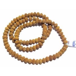 Certified 10 Mukhi Rudraksha Mala, Affordable & Genuine Mala