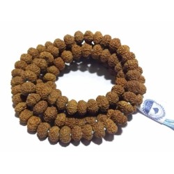 Certified 10 Mukhi Rudraksha Mala, Affordable & Genuine Mala