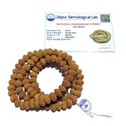 Certified 10 Mukhi Rudraksha Mala, Affordable & Genuine Mala