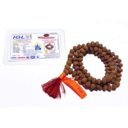 Certified 9 Mukhi Rudraksha Bead Mala, Affordable & Genuine Mala