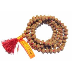 Certified 9 Mukhi Rudraksha...