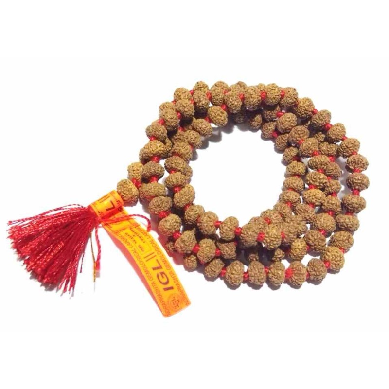 Certified 9 Mukhi Rudraksha Bead Mala, Affordable & Genuine Mala