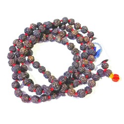 5 (Panch) Mukhi Rudraksha Mala In Black Colour & Certified