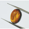 Tiger Eye Gemstone & Lab Certified-12.25 Carat