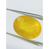 Yellow Sapphire (Pukhraj) Certified - 8.25 Carat