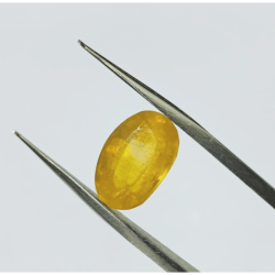 Yellow Sapphire (Pukhraj) Certified -7.25 Carat