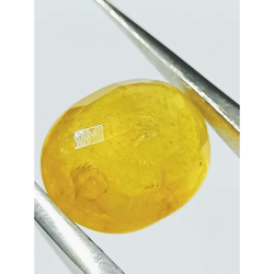 Yellow Sapphire (Pukhraj) Certified - 7.25 Carat