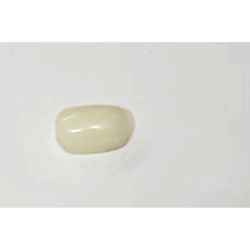 White Coral Stone (Moonga)...