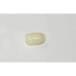 White Coral Stone (Moonga) Lab Certified  5.25 Carat