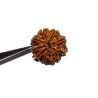 Certified 9 Mukhi Rudraksha Bead & Genuine- 3.50 Gram