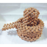 Rudraksha Shivling Original - 250 Gram