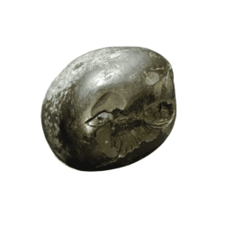 Very Rare Laxmi Narayan Shaligram 100% Genuine – 302Gram