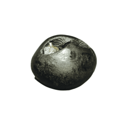 Very Rare Laxmi Narayan Shaligram 100% Genuine – 211 Gram