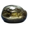 Very Rare Laxmi Narayan Shaligram 100% Genuine – 209Gram