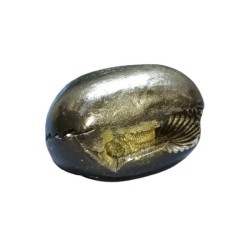 Very Rare Laxmi Narayan Shaligram 100% Genuine – 209Gram