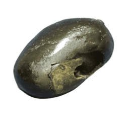 Very Rare Laxmi Narayan Shaligram 100% Genuine – 271Gram