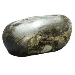 Laxmi Narayan Shaligram 100% Genuine - 308 Gram- Very Rare